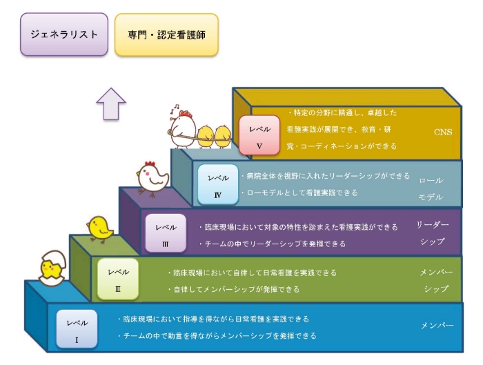 看護キャリア開発ラダーの概念図