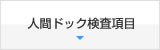 各種コースのご案内