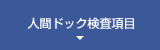 各種コースのご案内