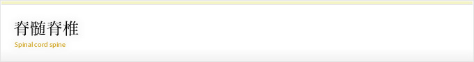 症状について 脊髄脊椎について